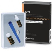 mte6